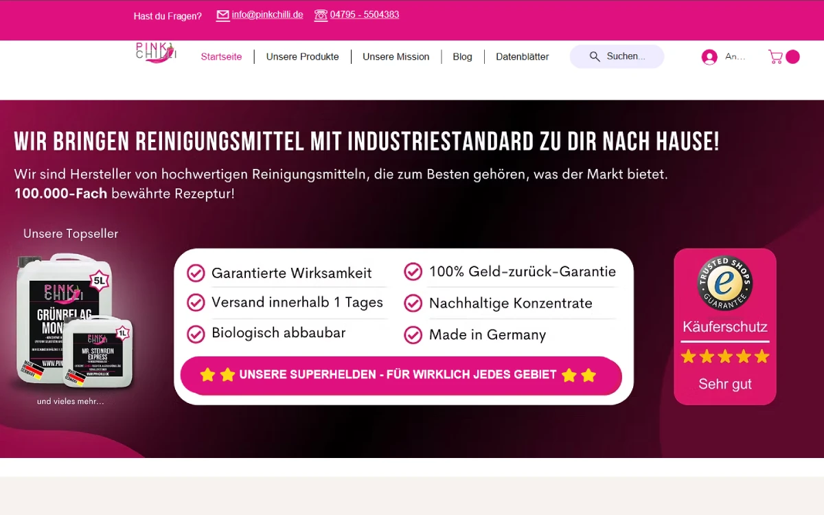 Website vor der Überarbeitung
